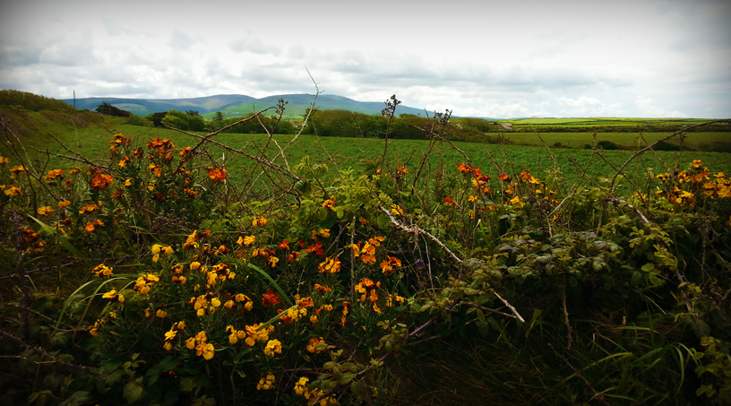 Isle of Man - Natur