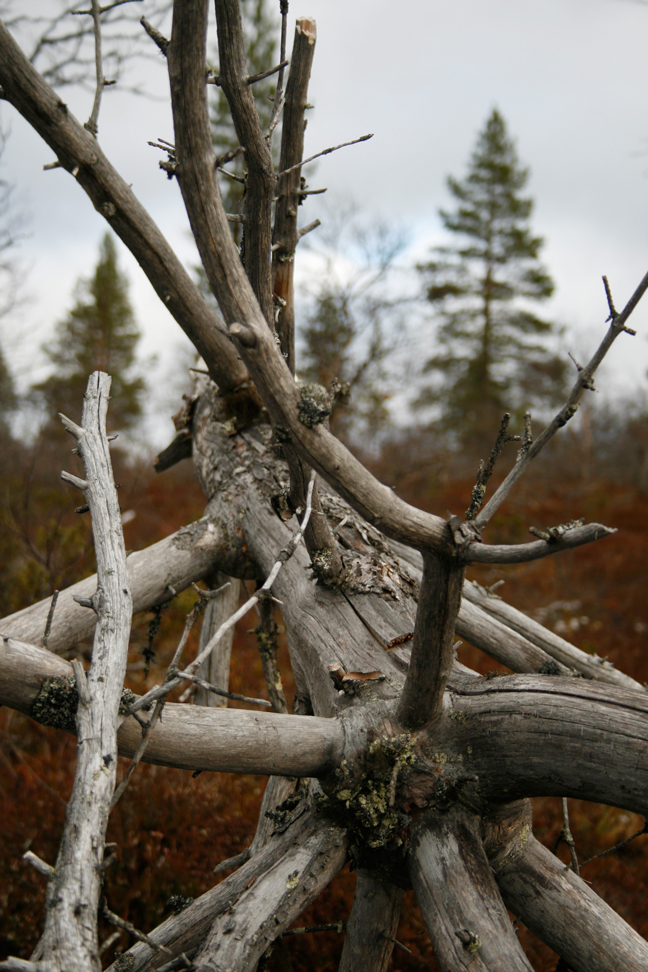 Finnland
