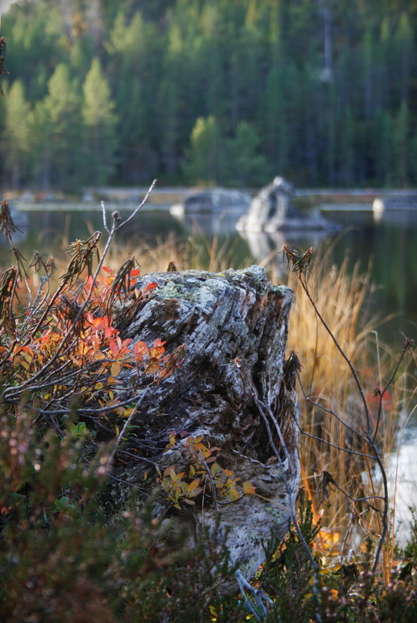 Finnland