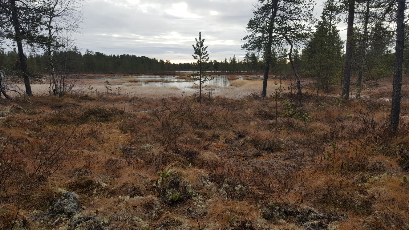Finnland